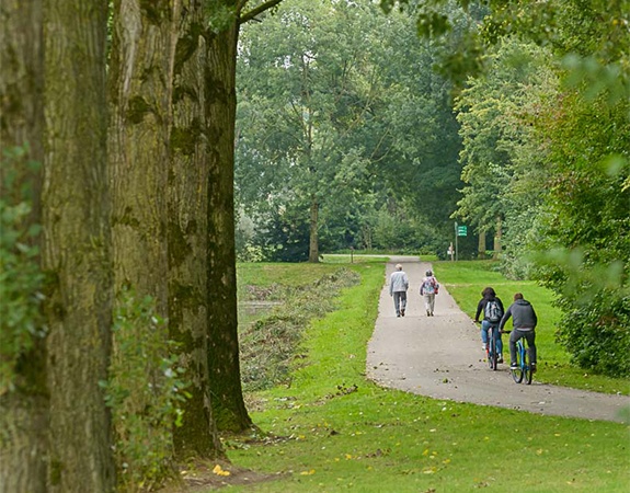 Groene omgeving in Dordrecht